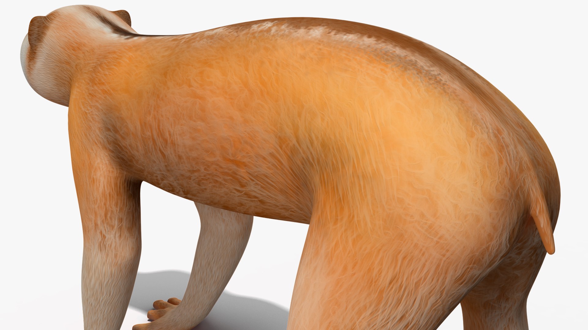 3D Lemur Slow Loris Rigged for Maya https://p.turbosquid.com/ts-thumb/WN/AyqOMh/NU/lemurslowlorisriggedformayavray3dmodel029/jpg/1702433904/1920x1080/fit_q87/8d7d73691906ff9fd913a85cad432843dc099c15/lemurslowlorisriggedformayavray3dmodel029.jpg
