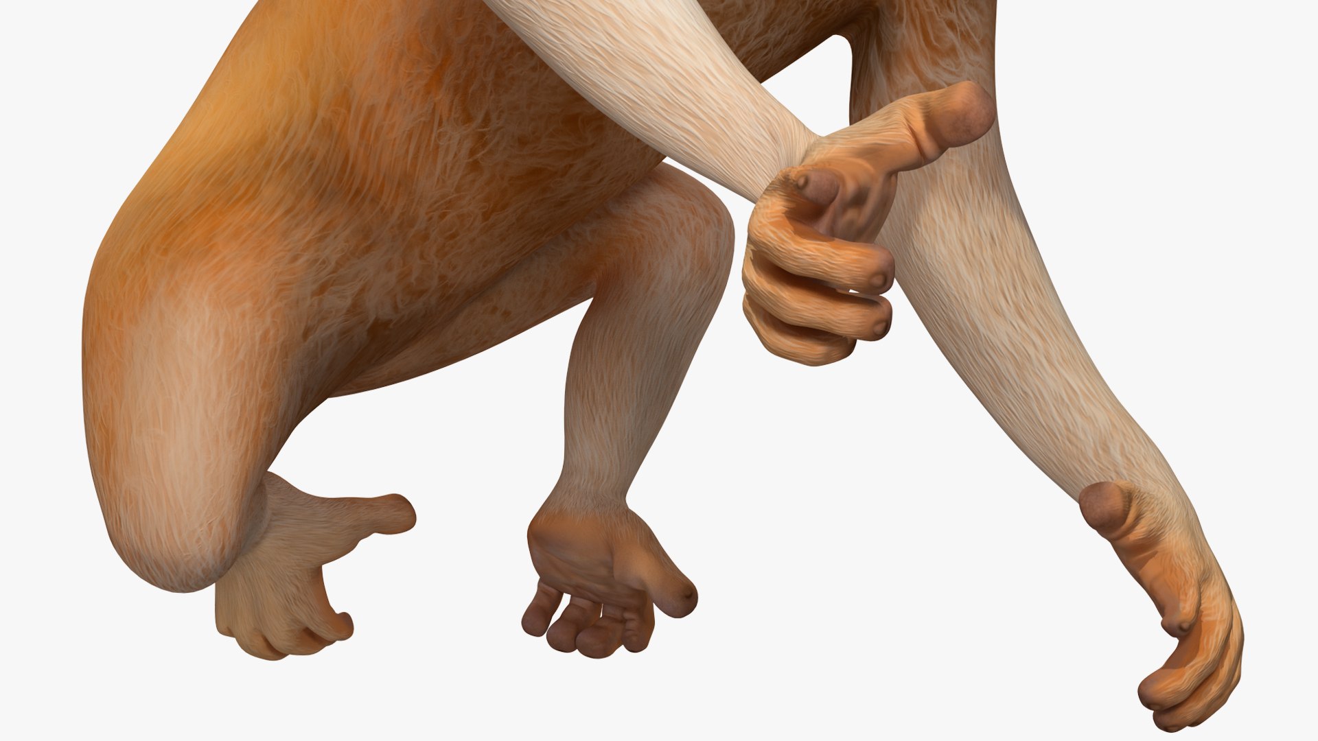 3D Lemur Slow Loris Rigged for Maya https://p.turbosquid.com/ts-thumb/WN/AyqOMh/QP/lemurslowlorisriggedformayavray3dmodel031/jpg/1702433912/1920x1080/fit_q87/e0800e1c09b7b84aa23b6457a2eca741a946877c/lemurslowlorisriggedformayavray3dmodel031.jpg