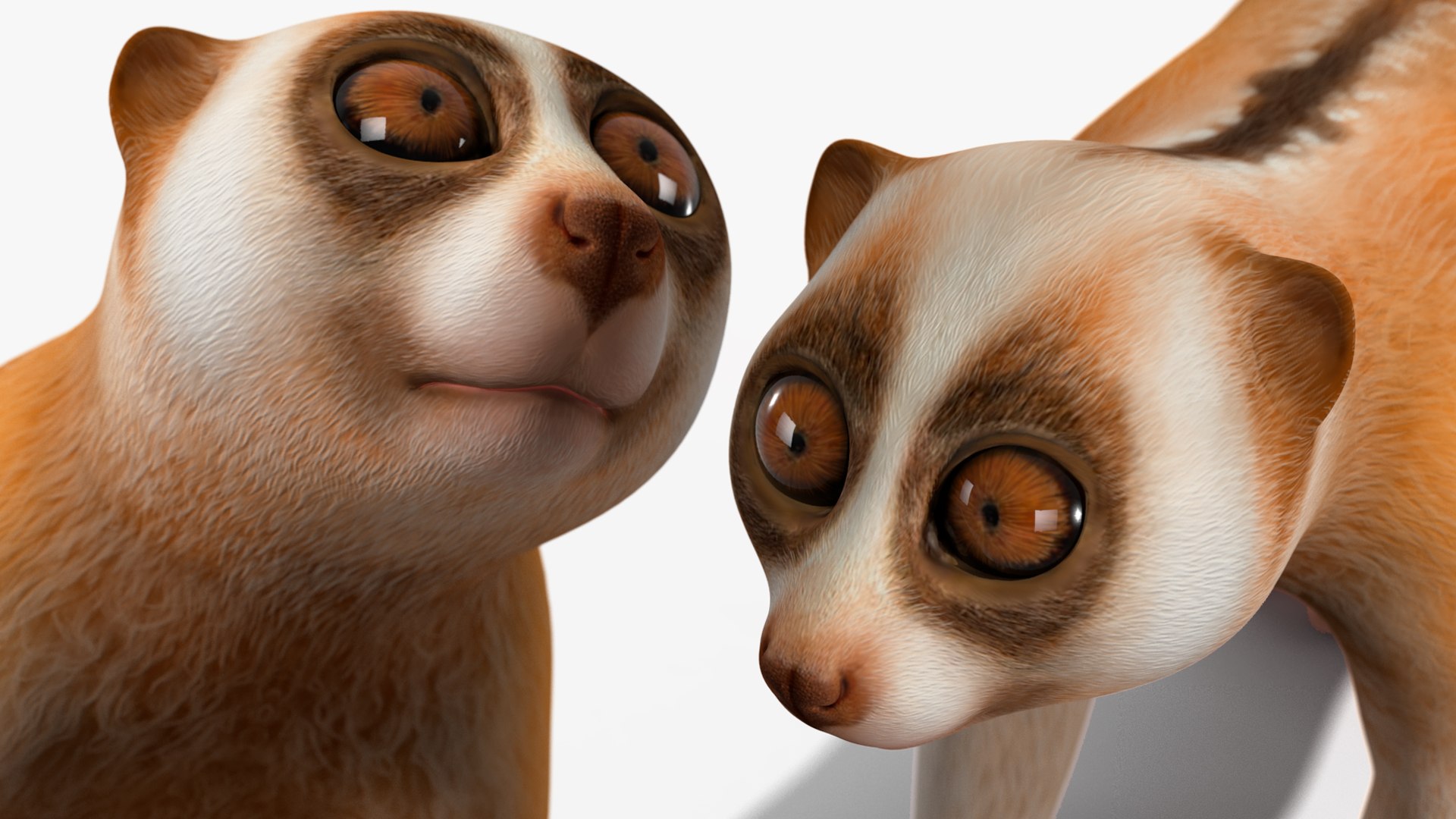 3D Lemur Slow Loris Rigged for Maya https://p.turbosquid.com/ts-thumb/WN/AyqOMh/VB/lemurslowlorisriggedformayavray3dmodel033/jpg/1702433921/1920x1080/fit_q87/7b7adb982af5dc603c4ec0099d55abd3216bd18d/lemurslowlorisriggedformayavray3dmodel033.jpg