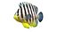 50 Fish Sea Creature Collection v3
