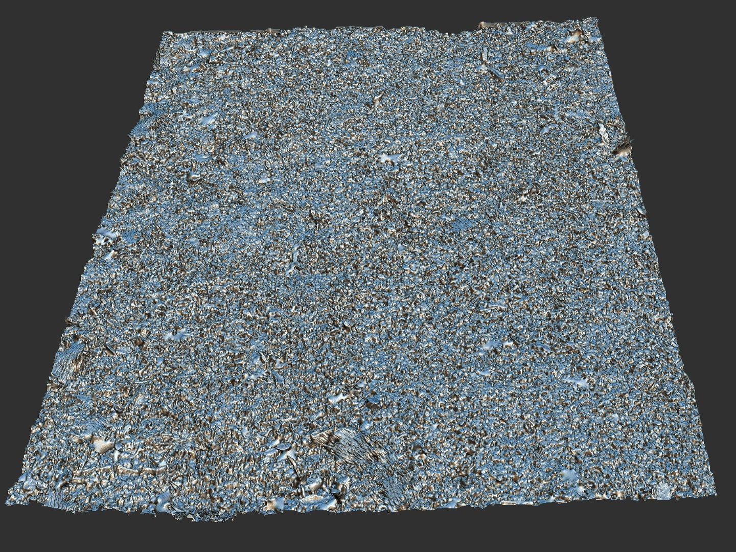 3d model forest ground 16k hd