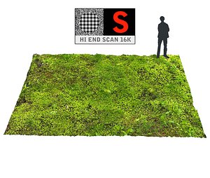 3d model forest ground 16k hd