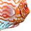 Symphysodon Fish Rigged