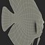 Symphysodon Fish Rigged