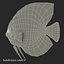 Symphysodon Fish Rigged