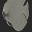 Symphysodon Fish Rigged
