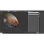 Symphysodon Fish Rigged