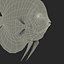 Symphysodon Fish Rigged