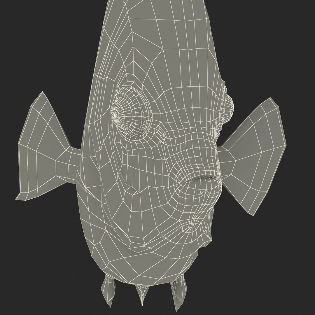 max symphysodon fish rigged https://p.turbosquid.com/ts-thumb/WN/cccNnU/nbt3fg1e/symphysodonfishrigged3dmodel43/jpg/1456060681/1920x1080/fit_q87/66cdaeef977c12b981e7064a778716eba69ef225/symphysodonfishrigged3dmodel43.jpg