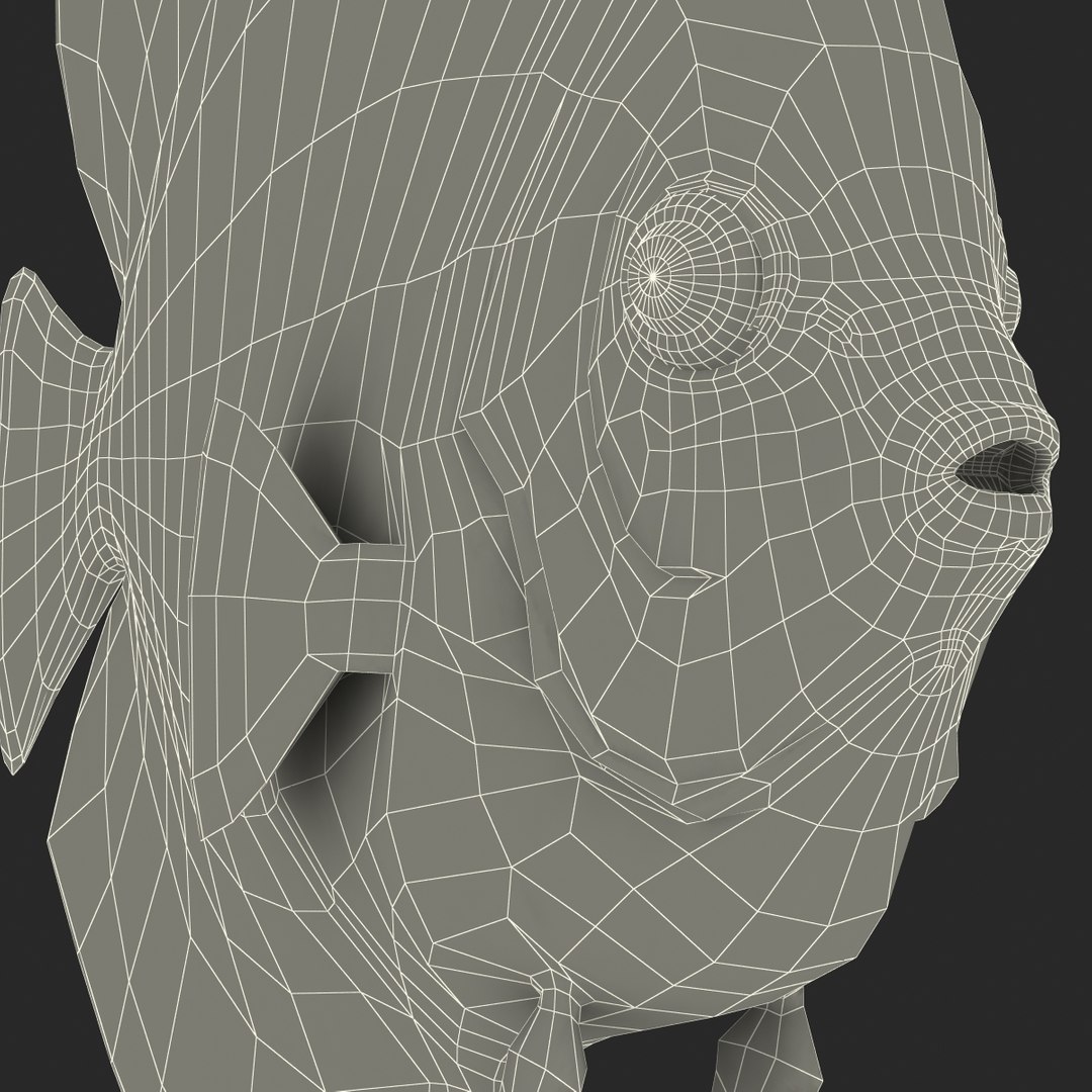 max symphysodon fish rigged https://p.turbosquid.com/ts-thumb/WN/cccNnU/rrmZPxWn/symphysodonfishrigged3dmodel44/jpg/1456060681/1920x1080/fit_q87/2f0a747dcabbac2880fc907c1c7f9dbefe2fc1f6/symphysodonfishrigged3dmodel44.jpg