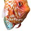 Symphysodon Fish Rigged