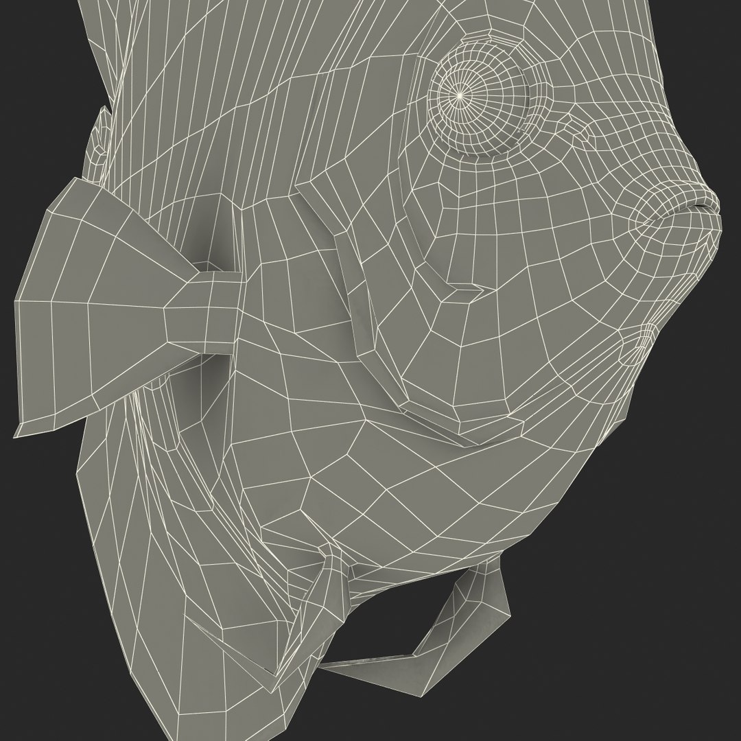 max symphysodon fish rigged https://p.turbosquid.com/ts-thumb/WN/cccNnU/xQhe41n5/symphysodonfishrigged3dmodel45/jpg/1456060681/1920x1080/fit_q87/74d770f081af655e661689155da3fcaeb4c1fa52/symphysodonfishrigged3dmodel45.jpg