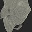 Symphysodon Fish Rigged