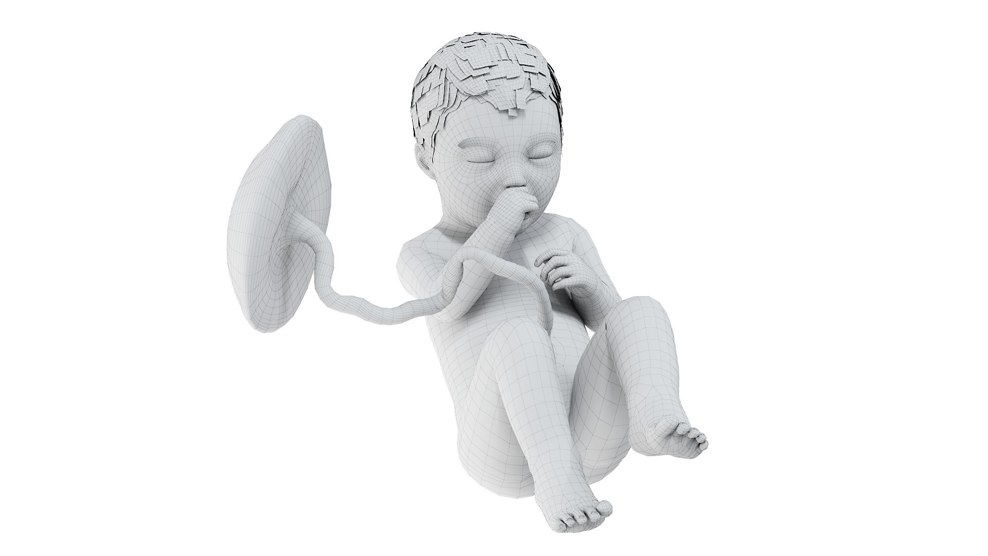 Fetus Anatomy Week 34 Animated model https://p.turbosquid.com/ts-thumb/WN/lbwtET/d1/fetus_week34f_wire0002/jpg/1633608546/1920x1080/fit_q87/3223c871c05cc6d9dd8950bf89ae7b90ce607b79/fetus_week34f_wire0002.jpg