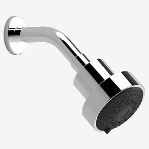 Dorn Bracht shower head