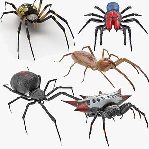 spiders rigged 3D model
