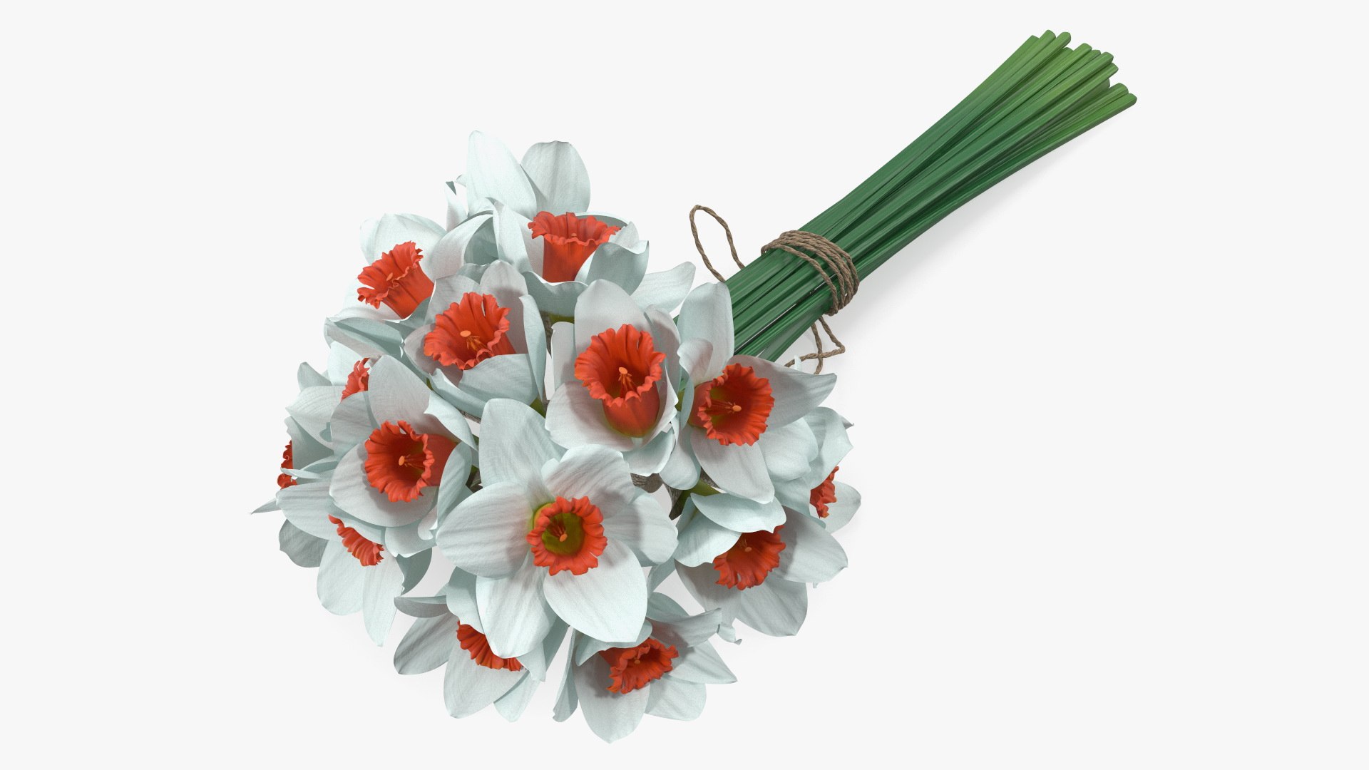 Bouquet of Narcissus Flowers 3D model preview