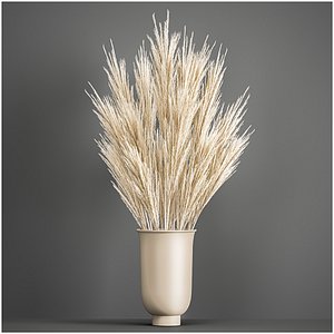 3D Decorative Bouquet of dried pampas grass 195 model