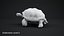 Tortoise