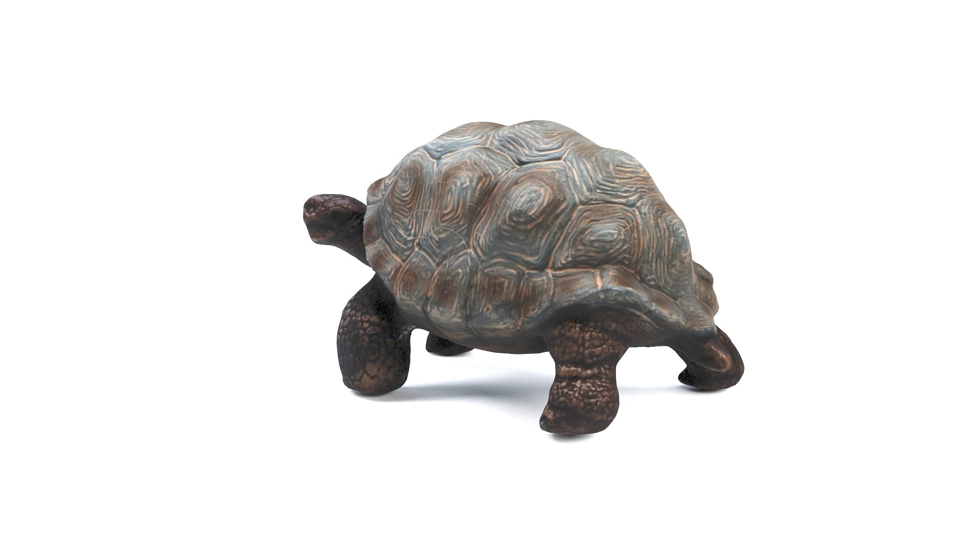 3D model tortoise turtle reptile https://p.turbosquid.com/ts-thumb/WO/BXZaI3/HQsqRKbC/tortoise_camera01_thumbnail_90008/jpg/1599743028/1920x1080/fit_q87/7040e2173095171bcd9795d74634549e579b41e7/tortoise_camera01_thumbnail_90008.jpg