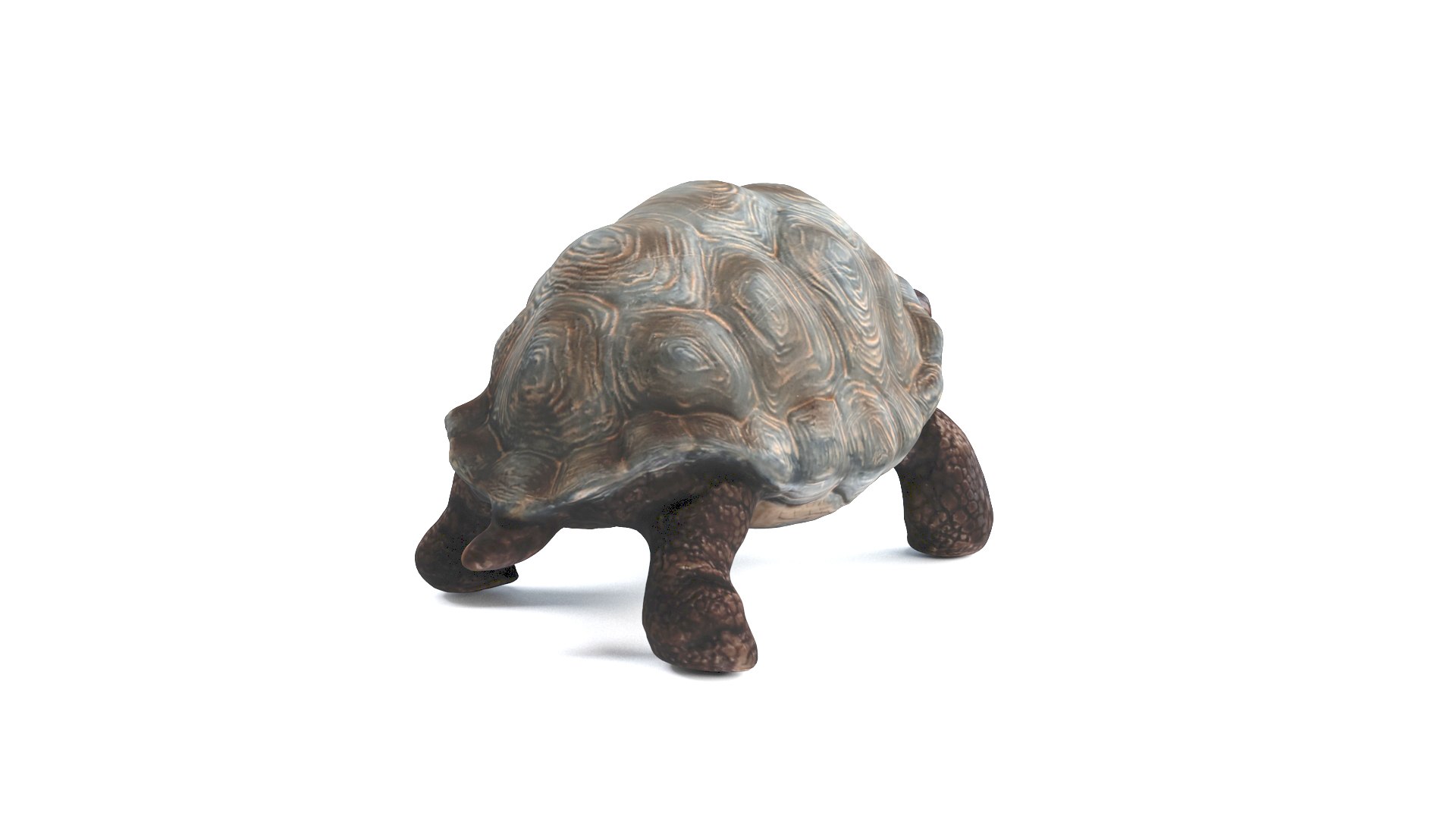 3D model tortoise turtle reptile https://p.turbosquid.com/ts-thumb/WO/BXZaI3/Ra3aQFwu/tortoise_camera01_thumbnail_90006/jpg/1599743028/1920x1080/fit_q87/9d1969855eb249ef4cc9f6367c747fc3893b4cb8/tortoise_camera01_thumbnail_90006.jpg