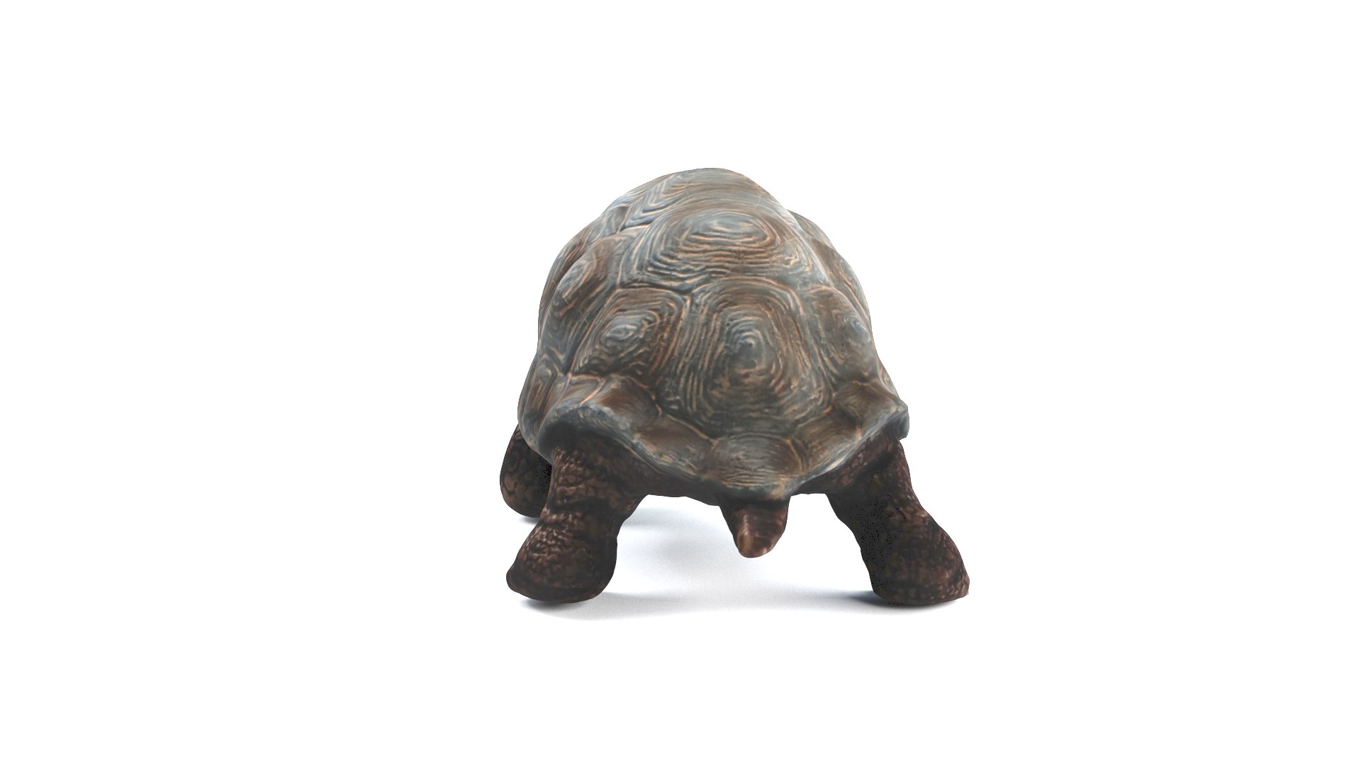 3D model tortoise turtle reptile https://p.turbosquid.com/ts-thumb/WO/BXZaI3/VB4rmEws/tortoise_camera01_thumbnail_90007/jpg/1599743027/1920x1080/fit_q87/7e66dc03b0feca86d29496fa578433a4bdba605b/tortoise_camera01_thumbnail_90007.jpg