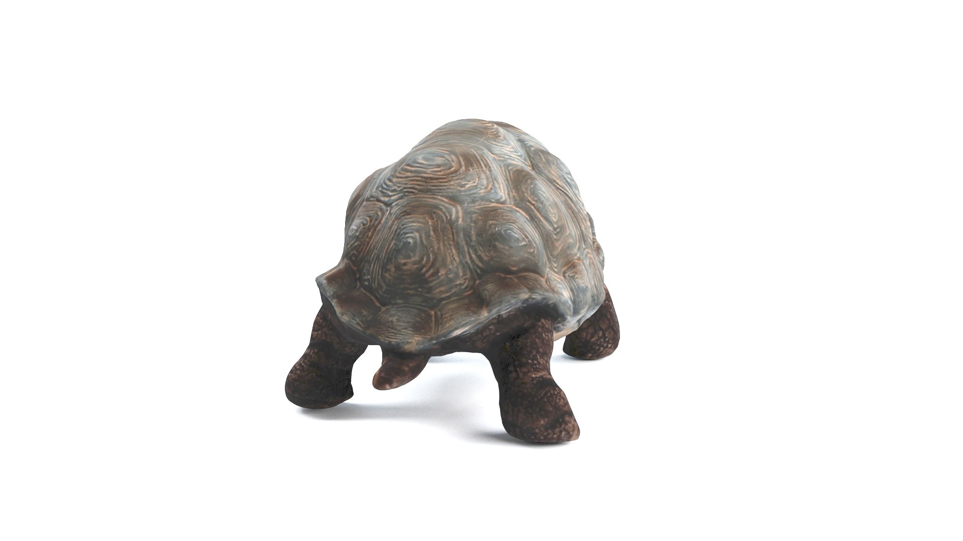 3D model tortoise turtle reptile https://p.turbosquid.com/ts-thumb/WO/BXZaI3/bbw6Pei7/tortoise_camera01_thumbnail_10007/jpg/1599743025/1920x1080/fit_q87/462cff53e77d277c46151a8bae1456d5dd22ee8f/tortoise_camera01_thumbnail_10007.jpg