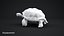 Tortoise