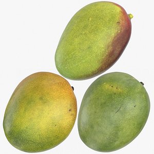 Mangos Collection 02