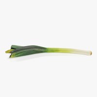 Leek
