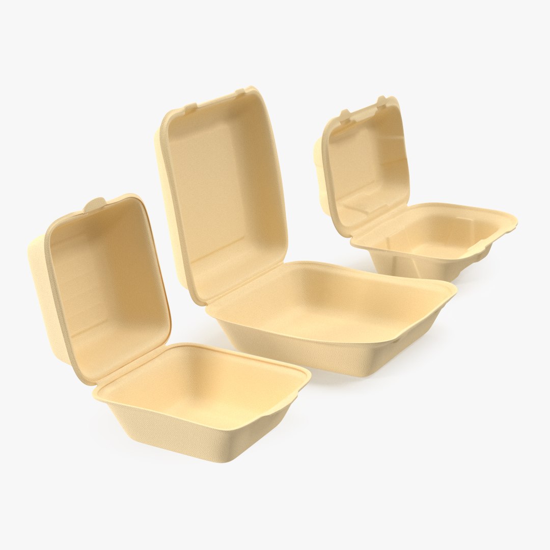 Bagasse Food Container Set 3D model preview