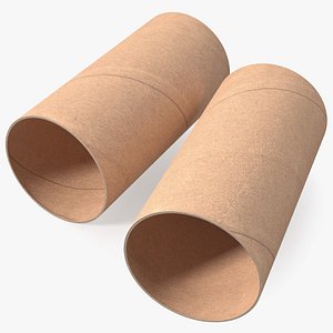 Toilet Paper Tubes 3D model