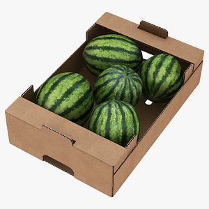3D fruit cardboard box watermelons model