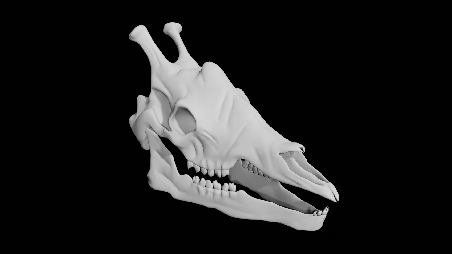 Giraffe Skull 3D Model TurboSquid 1857158