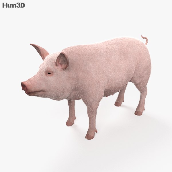 hdhdhd, 3D models download