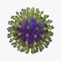 Herpes Virus