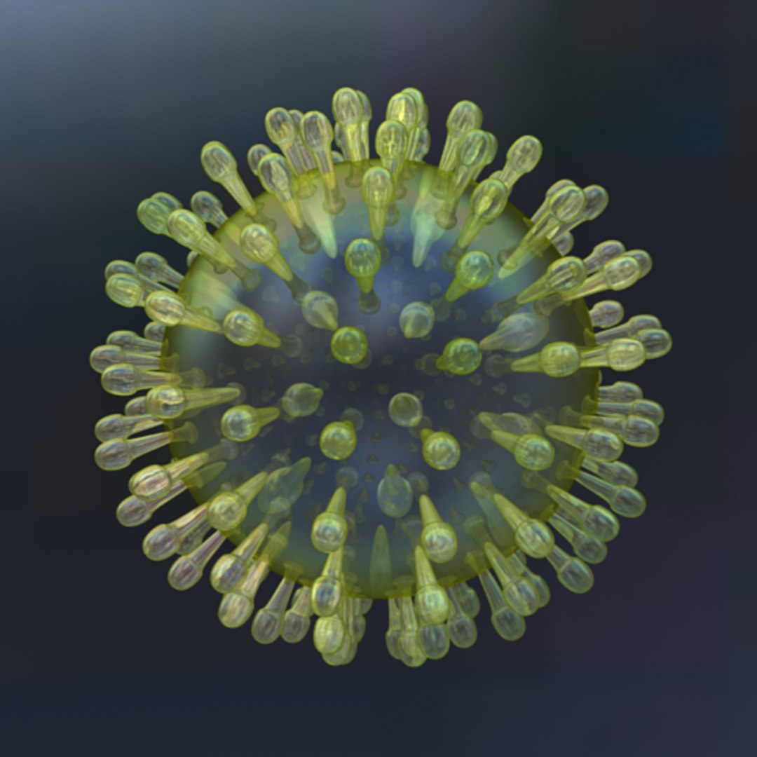 3d model of herpes virus https://p.turbosquid.com/ts-thumb/WO/jTe3w0/VhwBSzx5/membrane_02/png/1343311798/1920x1080/fit_q87/2bbf7ae77328acde8b50a52de2f4768cf7aa6e6a/membrane_02.jpg