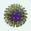 Herpes Virus