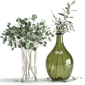 3D Eucalyptus and Olive branches in vases set1 model