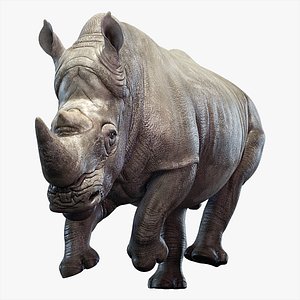 big rhino animation 3D model