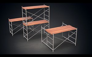 scaffoldings 3D model