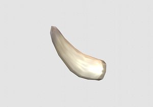 sharp bone horn