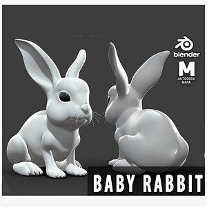 Baby Rabbit 3D model