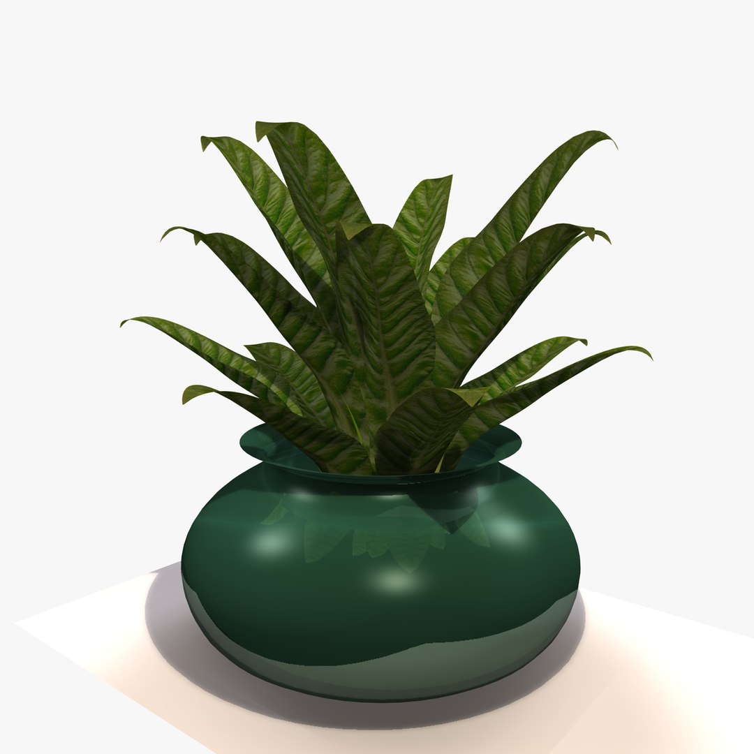 house plant 3d model