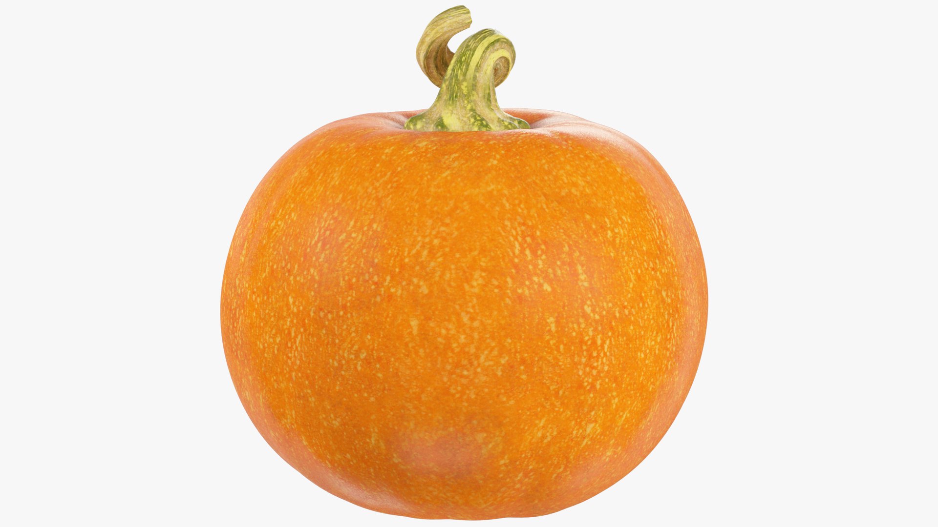 3D Halloween Pumpkins Collection V6 https://p.turbosquid.com/ts-thumb/WP/5SJnUm/5q/p6_004_002/png/1629214541/1920x1080/fit_q87/3d0a4cb5473ec1d67d2fde1573c0860a7824bc8e/p6_004_002.jpg