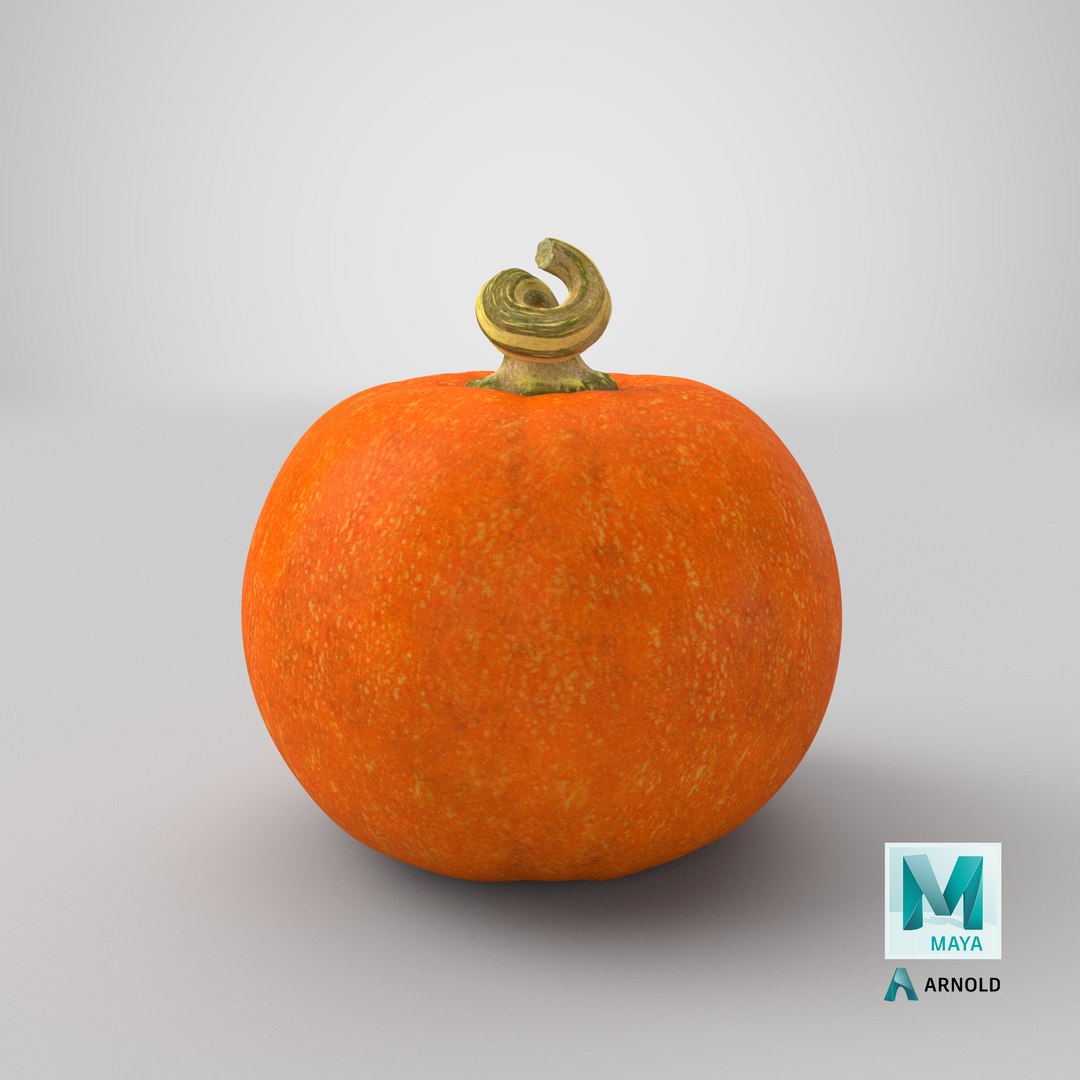 3D Halloween Pumpkins Collection V6 https://p.turbosquid.com/ts-thumb/WP/5SJnUm/E1/stemcell_maya_arnold_render/png/1629410725/1920x1080/fit_q87/7aabe2e79c96d1c0586d61146d7de19a9970659a/stemcell_maya_arnold_render.jpg