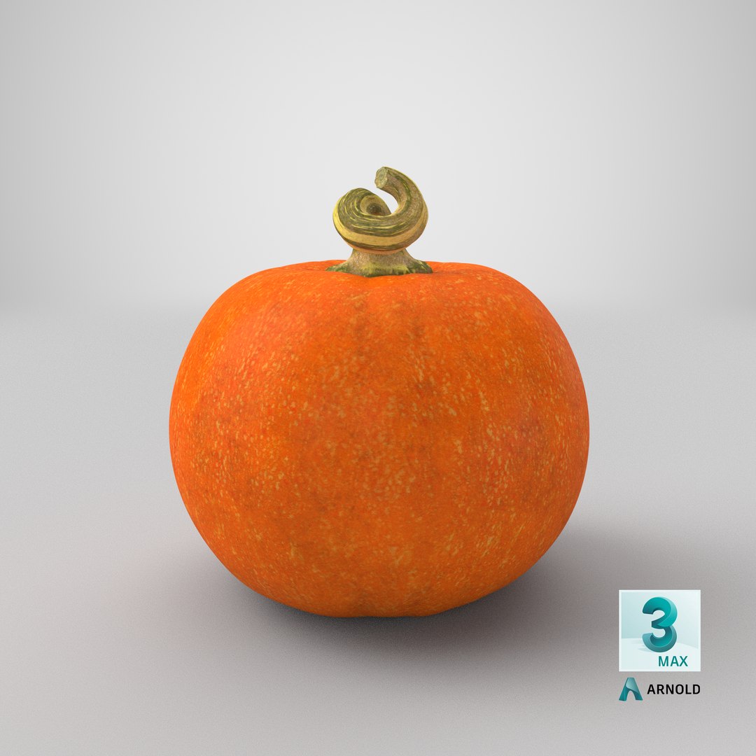 3D Halloween Pumpkins Collection V6 https://p.turbosquid.com/ts-thumb/WP/5SJnUm/NH/stemcell_max_arnold_render/png/1629410722/1920x1080/fit_q87/3e8ae5367886f4fe666812669791278e9d028403/stemcell_max_arnold_render.jpg