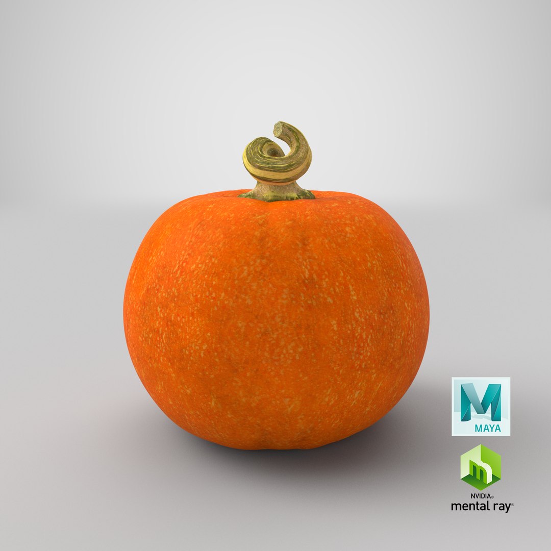 3D Halloween Pumpkins Collection V6 https://p.turbosquid.com/ts-thumb/WP/5SJnUm/Qd/stemcell_maya_mental_ray_render/png/1629410726/1920x1080/fit_q87/bcb9e6a072d1c76bae25c2d99491f8027ad1ce83/stemcell_maya_mental_ray_render.jpg