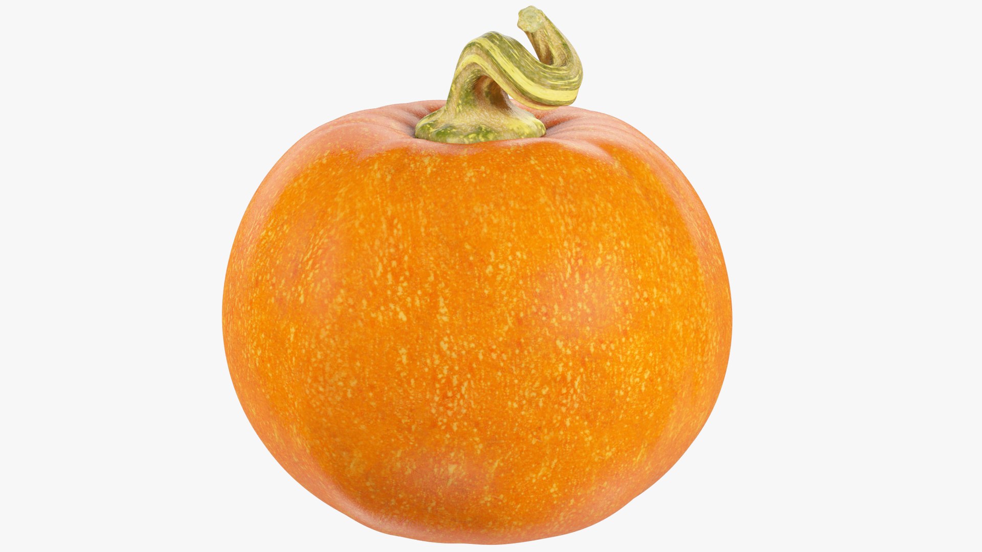 3D Halloween Pumpkins Collection V6 https://p.turbosquid.com/ts-thumb/WP/5SJnUm/WN/p6_004_004/png/1629214542/1920x1080/fit_q87/c1f74aed3a4a4f40dbdaaaa84f829cab6f33d91e/p6_004_004.jpg