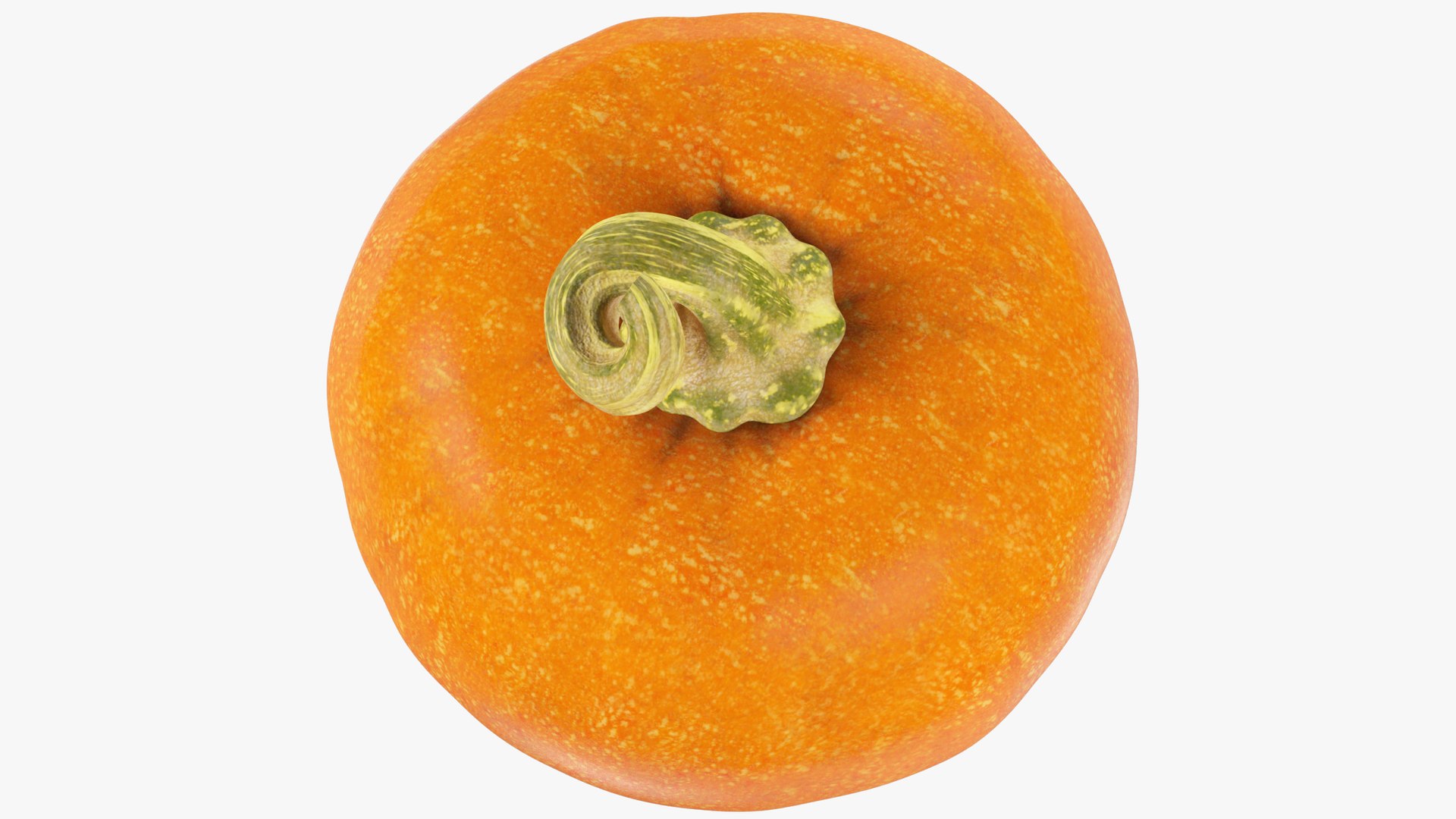 3D Halloween Pumpkins Collection V6 https://p.turbosquid.com/ts-thumb/WP/5SJnUm/ZF/p6_004_007/png/1629214543/1920x1080/fit_q87/d40bc913674defb489929b1eb96544198899d902/p6_004_007.jpg